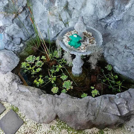 Villa Home2book Luxury El Helecho Del Teide, Private Pool Tacoronte